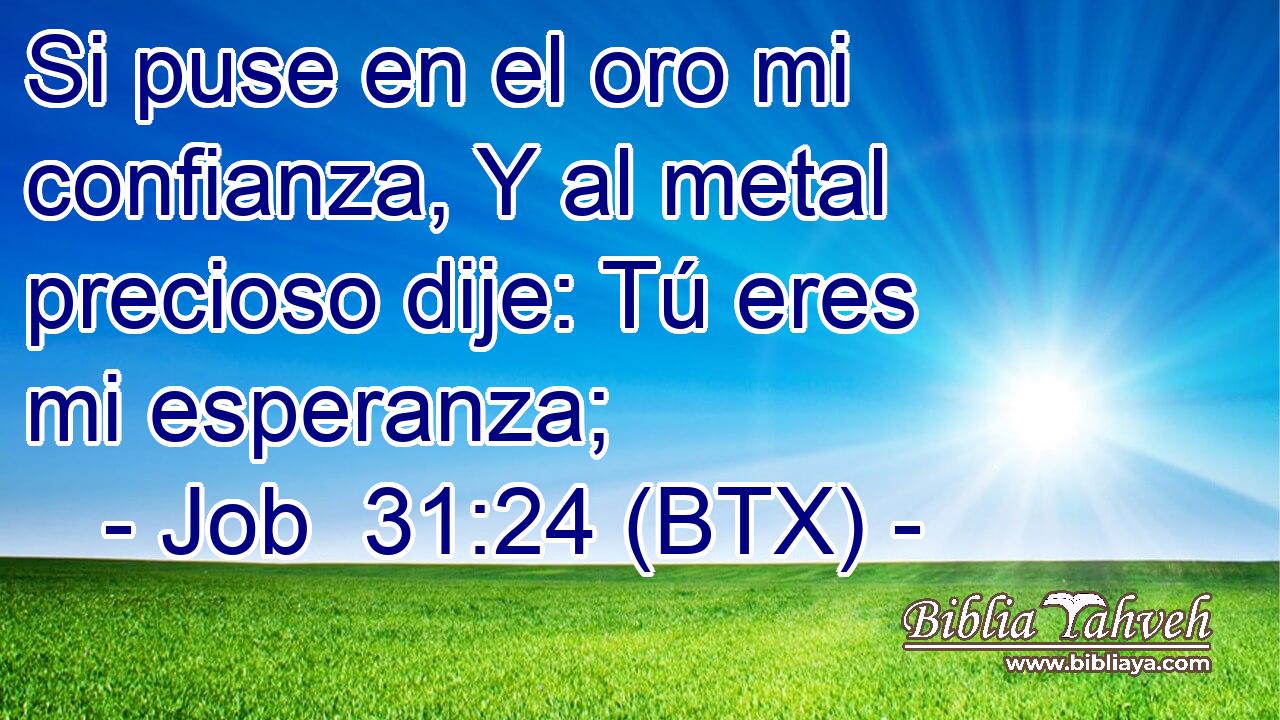 Si puse en el oro mi confianza, Y al metal precioso dije: Tú eres mi esperanza;