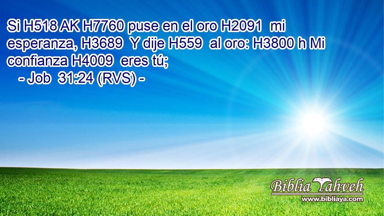 Si H518 AK H7760 puse en el oro H2091  mi esperanza, H3689  Y dije H559  al oro: H3800 h Mi confianza H4009  eres tú; 