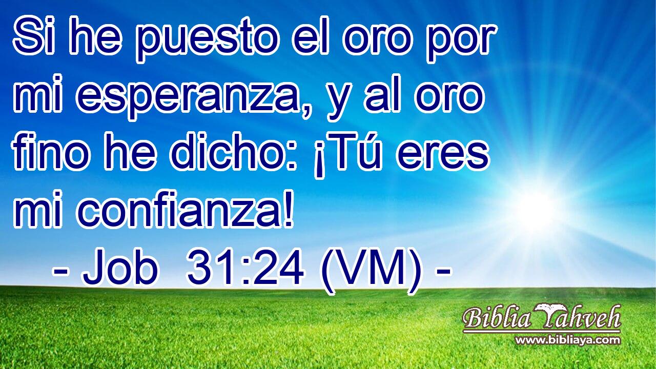  Si he puesto el oro por mi esperanza, y al oro fino he dicho: ¡Tú eres mi confianza! 