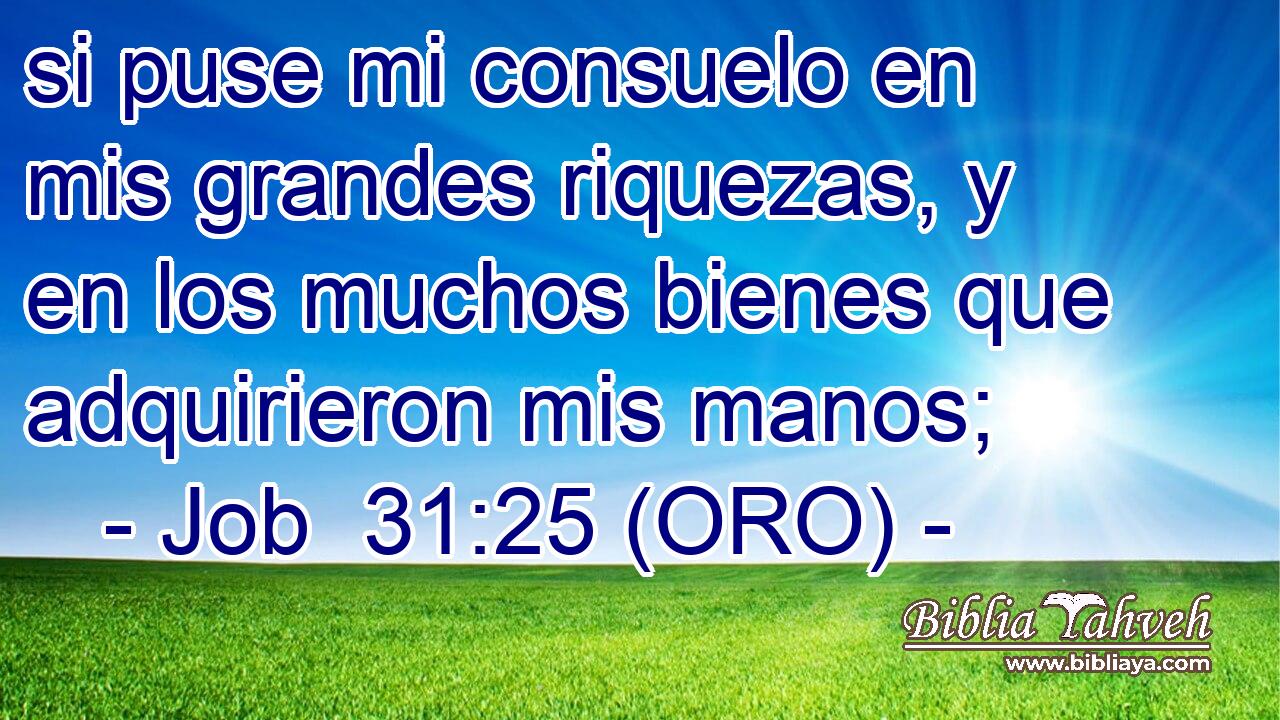  si puse mi consuelo en mis grandes riquezas, y en los muchos bienes que adquirieron mis manos; 