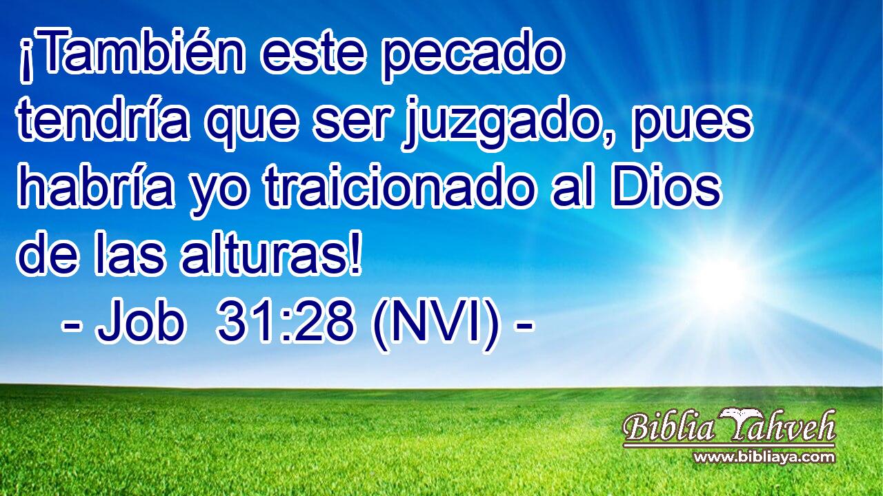  ¡También este pecado tendría que ser juzgado, pues habría yo traicionado al Dios de las alturas! 