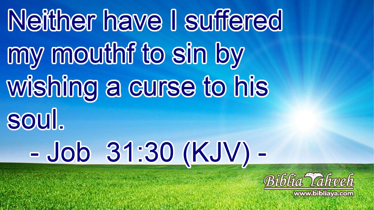 Neither have I suffered my mouthf to sin by wishing a curse to his soul.