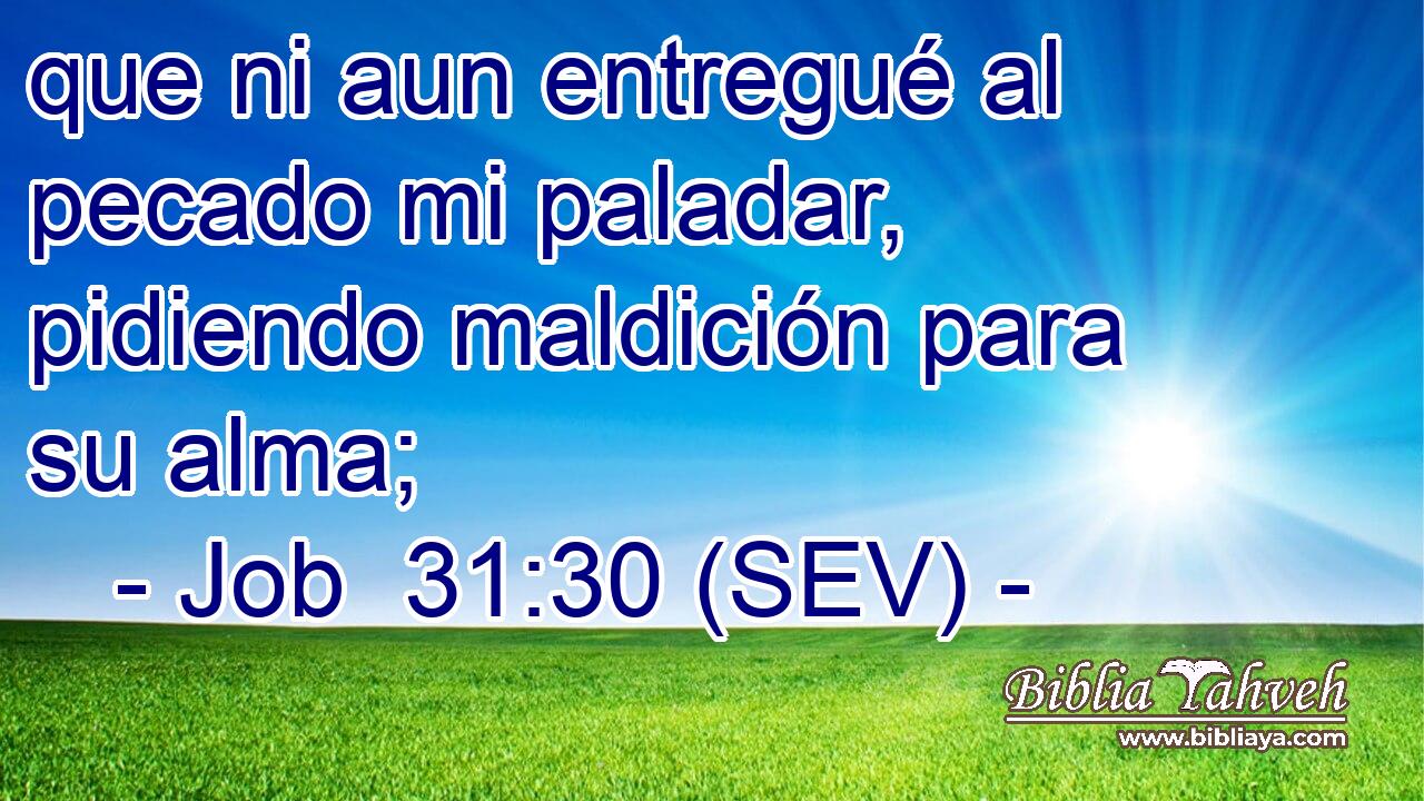 que ni aun entregué al pecado mi paladar, pidiendo maldición para su alma;