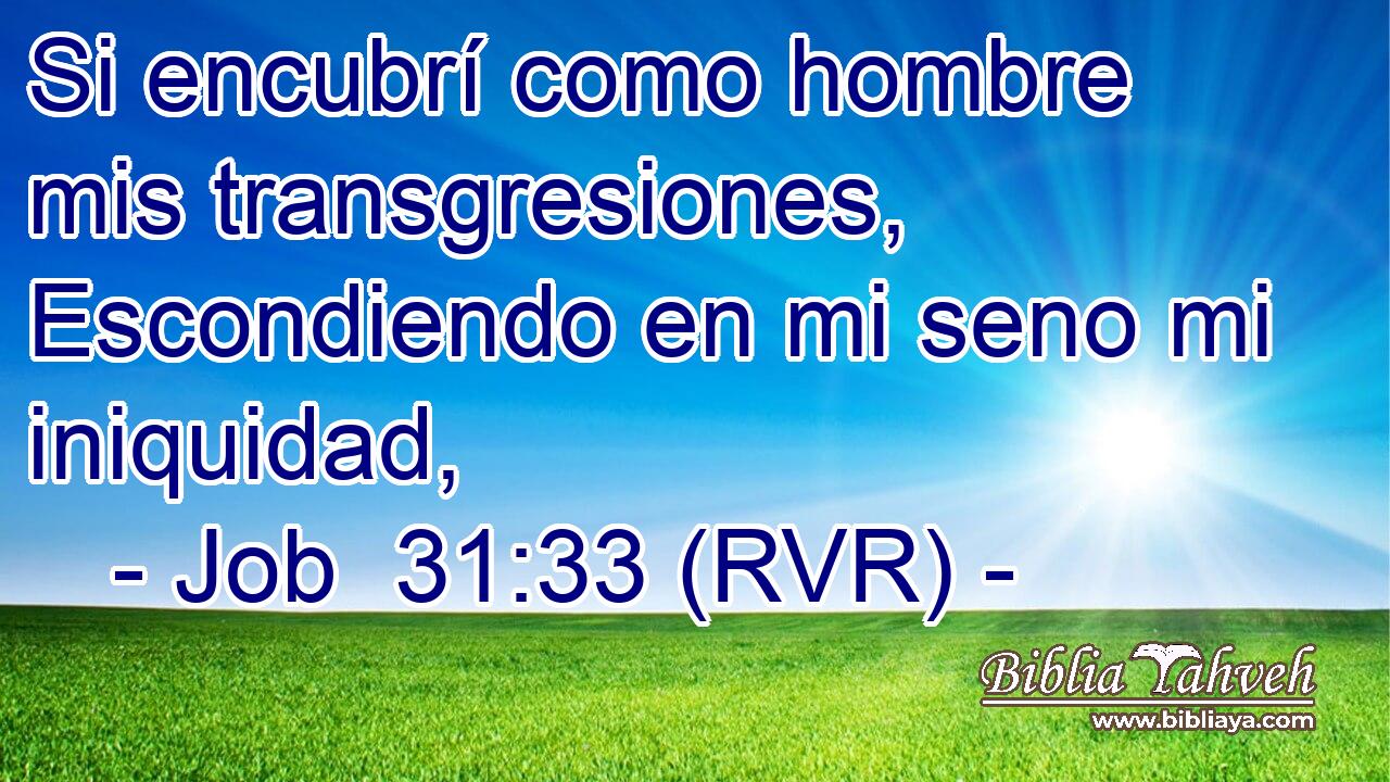 Si encubrí como hombre mis transgresiones, Escondiendo en mi seno mi iniquidad,