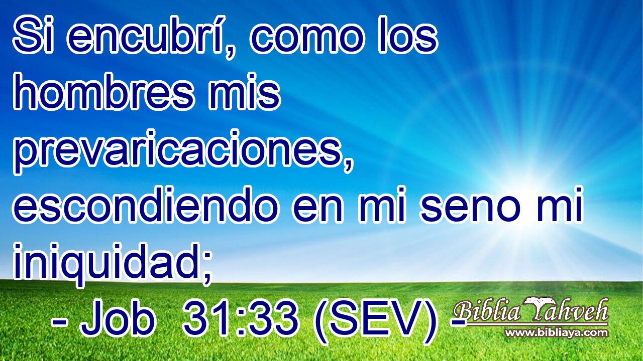 Si encubrí, como los hombres mis prevaricaciones, escondiendo en mi seno mi iniquidad;