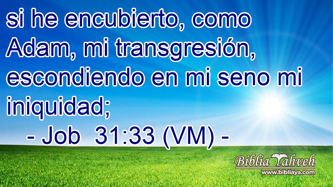  si he encubierto, como Adam, mi transgresión, escondiendo en mi seno mi iniquidad; 