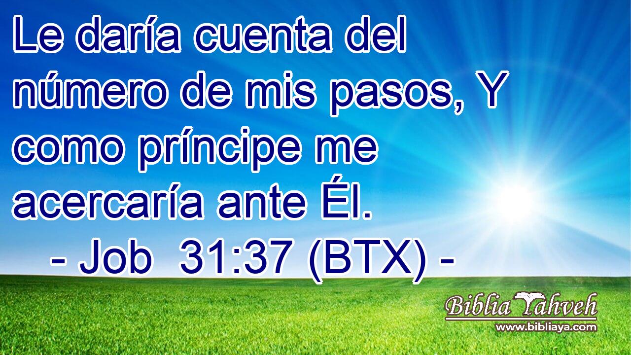 Le daría cuenta del número de mis pasos, Y como príncipe me acercaría ante Él.