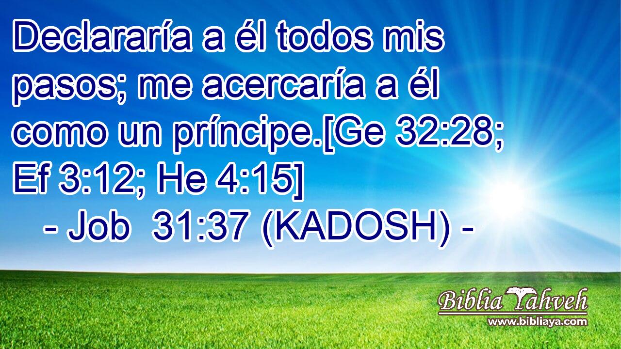  Declararía a él todos mis pasos; me acercaría a él como un príncipe.[Ge 32:28; Ef 3:12; He 4:15] 