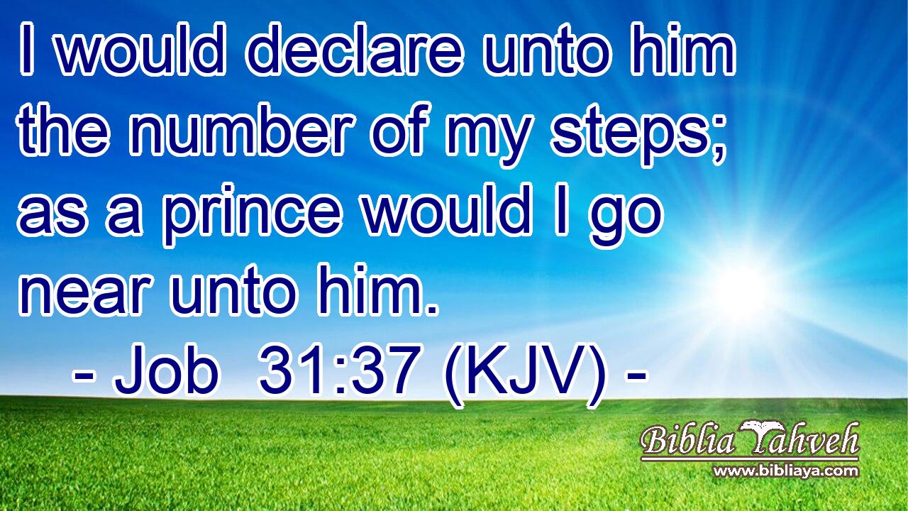 I would declare unto him the number of my steps; as a prince would I go near unto him.