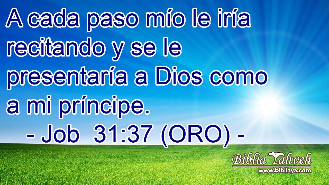  A cada paso mío le iría recitando y se le presentaría a Dios como a mi príncipe. 