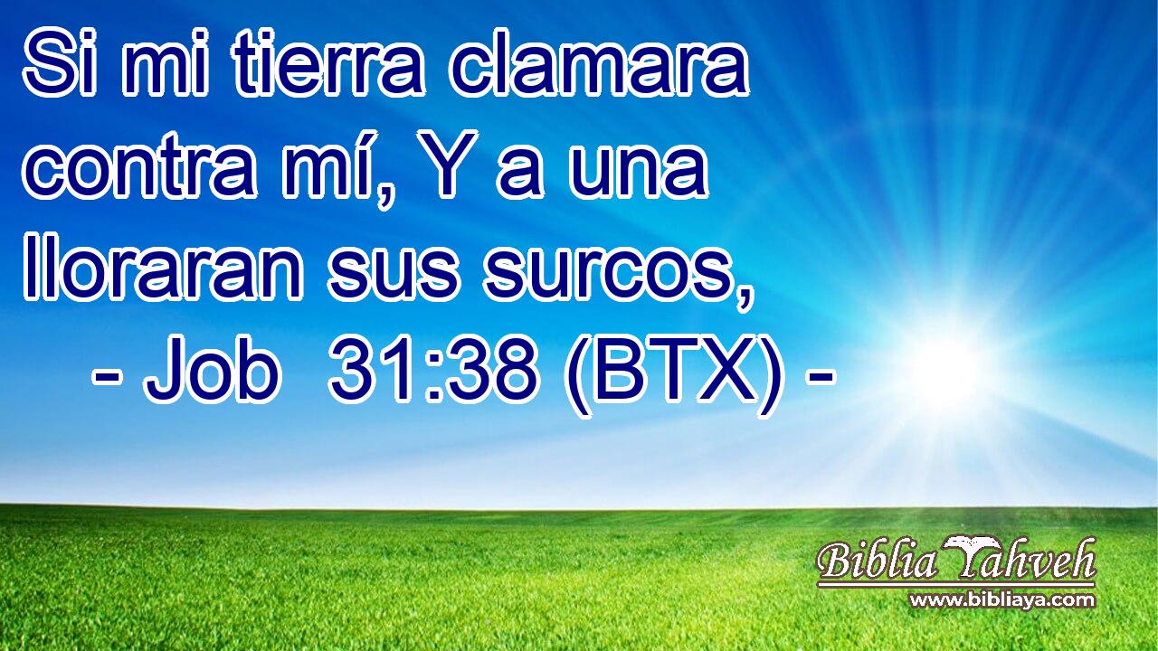 Si mi tierra clamara contra mí, Y a una lloraran sus surcos,
