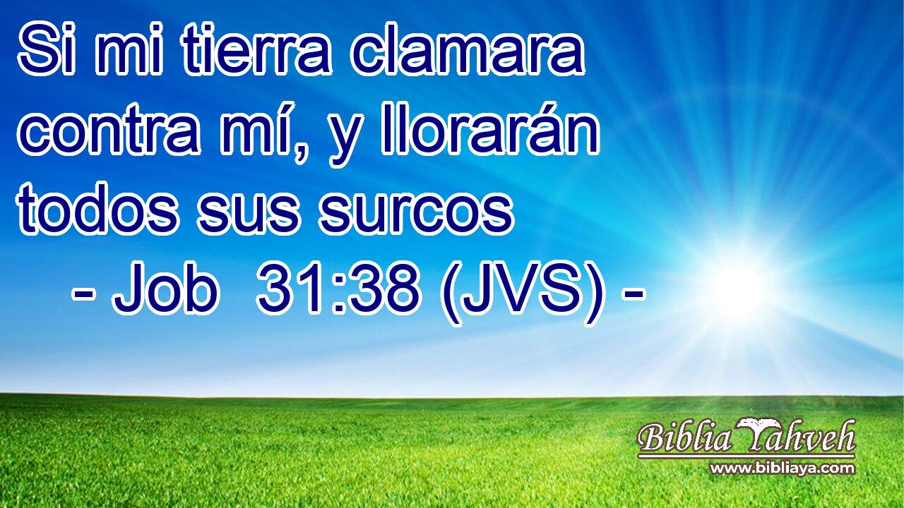 Si mi tierra clamara contra mí, y llorarán todos sus surcos