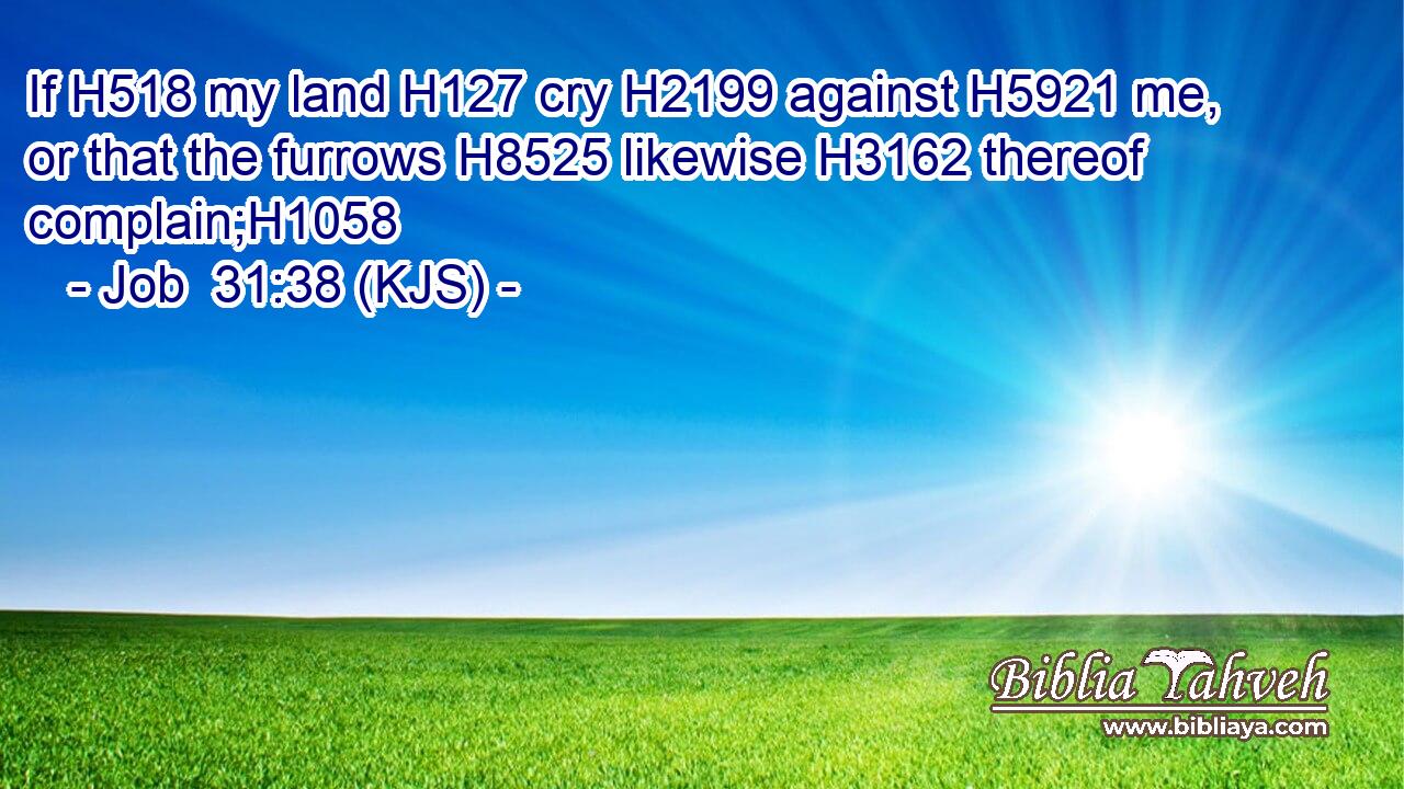If H518 my land H127 cry H2199 against H5921 me, or that the furrows H8525 likewise H3162 thereof complain;H1058