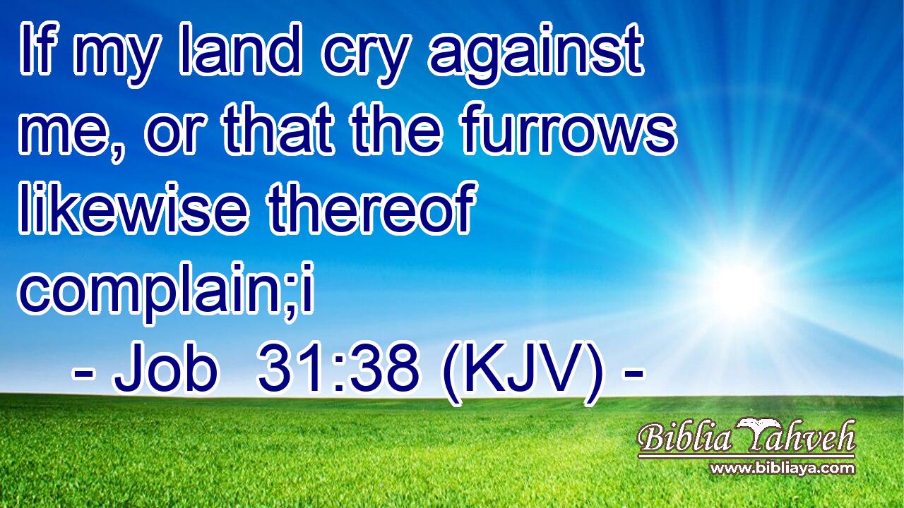 If my land cry against me, or that the furrows likewise thereof complain;i