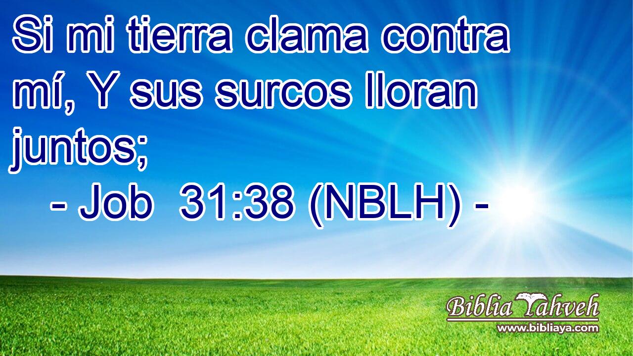  Si mi tierra clama contra mí, Y sus surcos lloran juntos; 