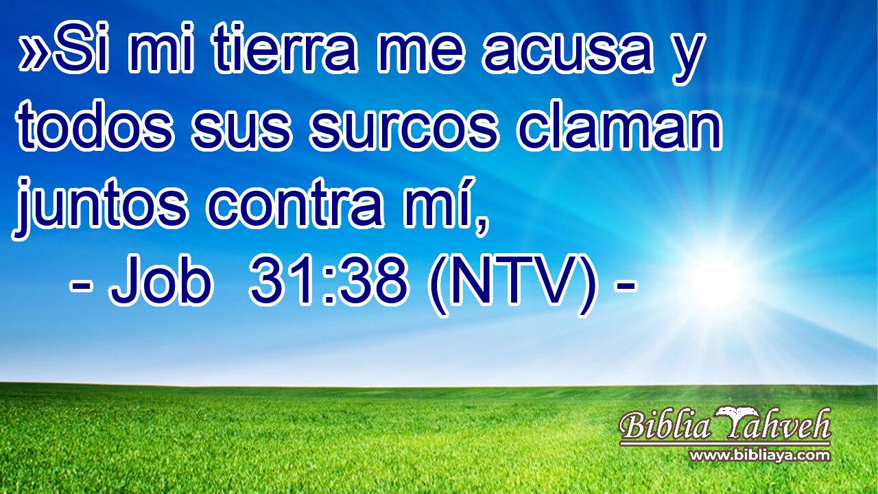 »Si mi tierra me acusa y todos sus surcos claman juntos contra mí,