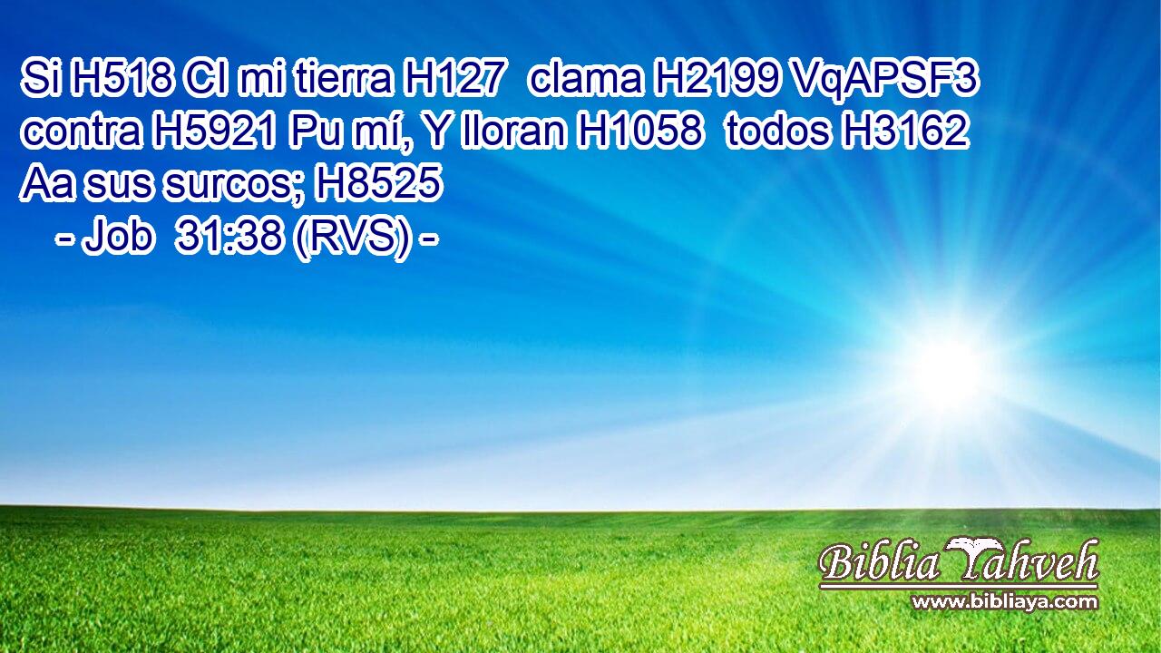 Si H518 CI mi tierra H127  clama H2199 VqAPSF3 contra H5921 Pu mí, Y lloran H1058  todos H3162 Aa sus surcos; H8525  