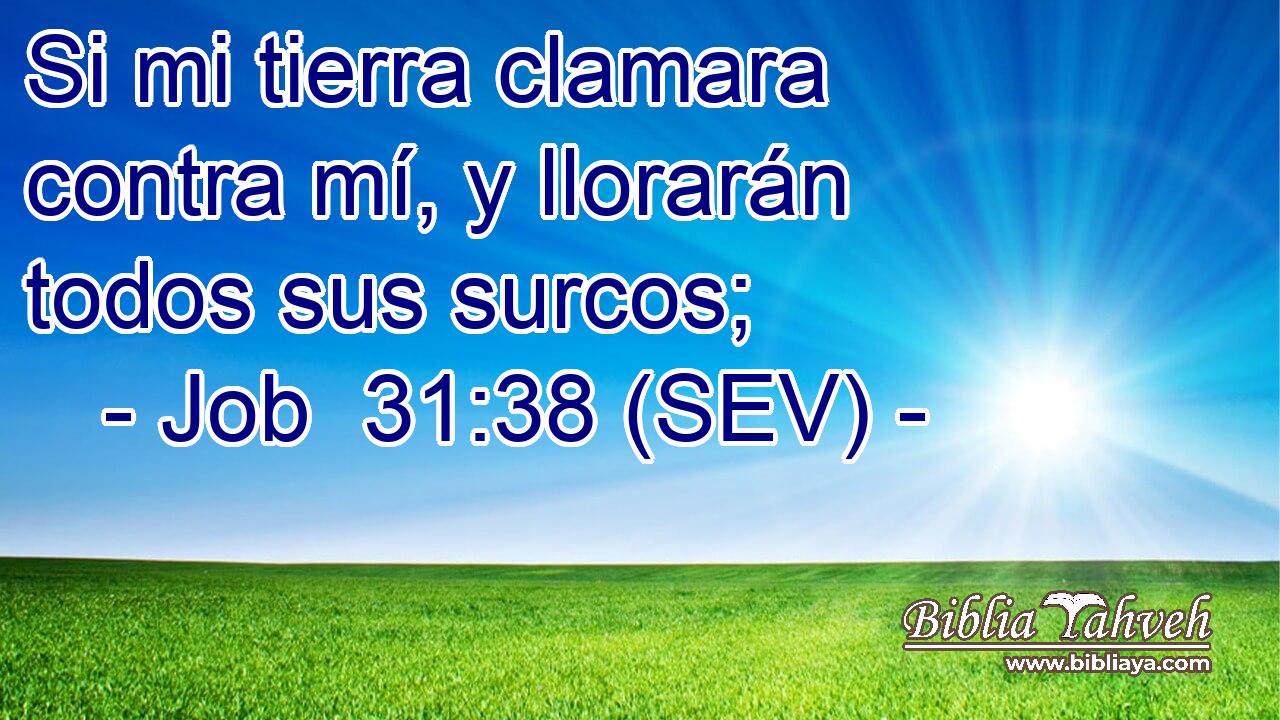 Si mi tierra clamara contra mí, y llorarán todos sus surcos;