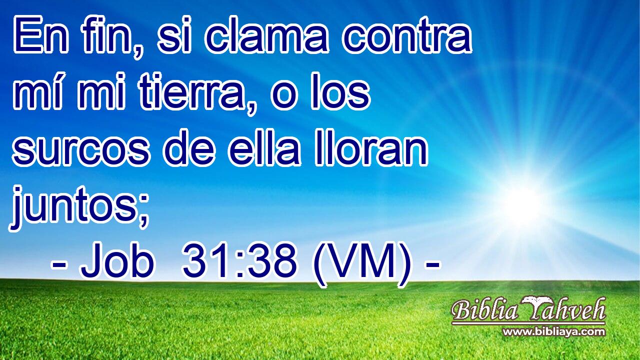  En fin, si clama contra mí mi tierra, o los surcos de ella lloran juntos; 