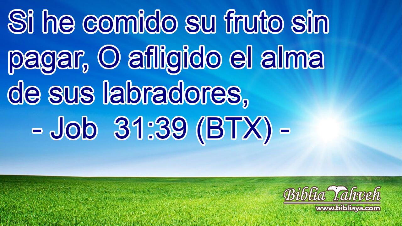 Si he comido su fruto sin pagar, O afligido el alma de sus labradores,