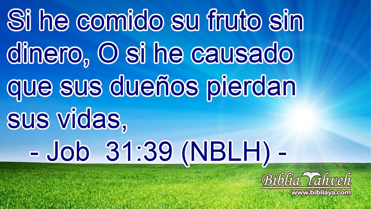  Si he comido su fruto sin dinero, O si he causado que sus dueños pierdan sus vidas, 