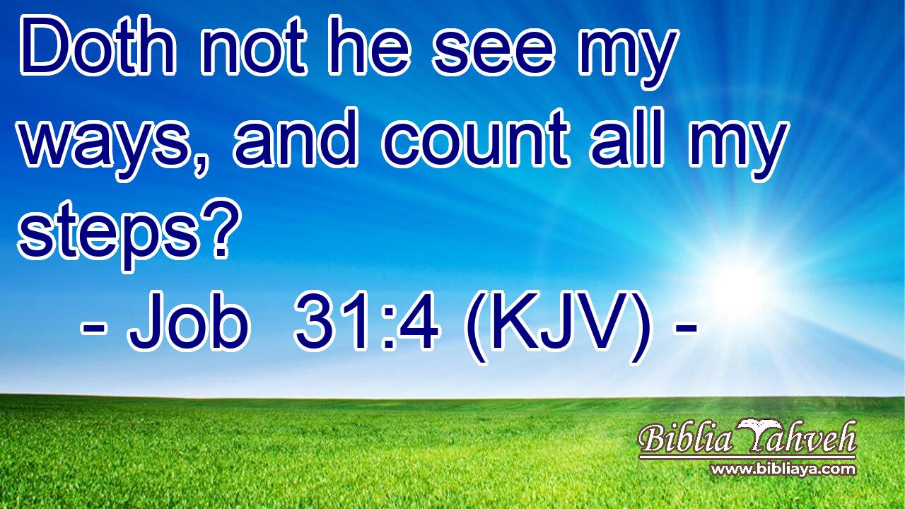 Doth not he see my ways, and count all my steps?