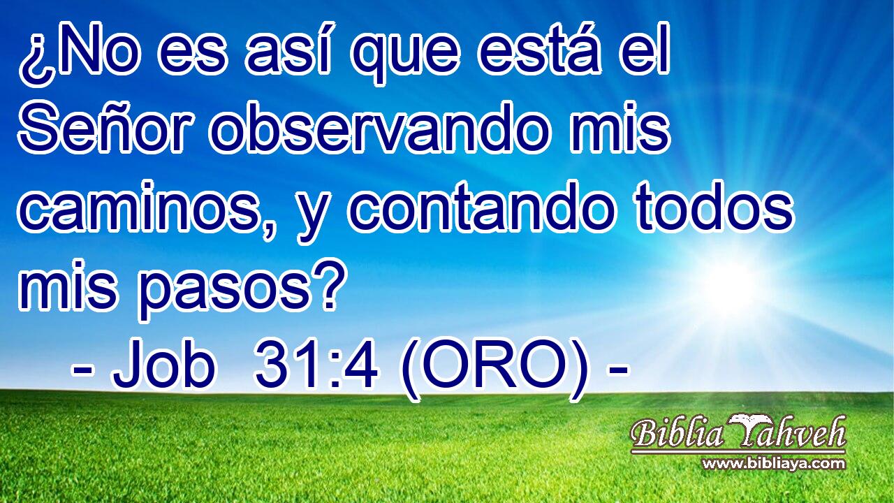  ¿No es así que está el Señor observando mis caminos, y contando todos mis pasos? 