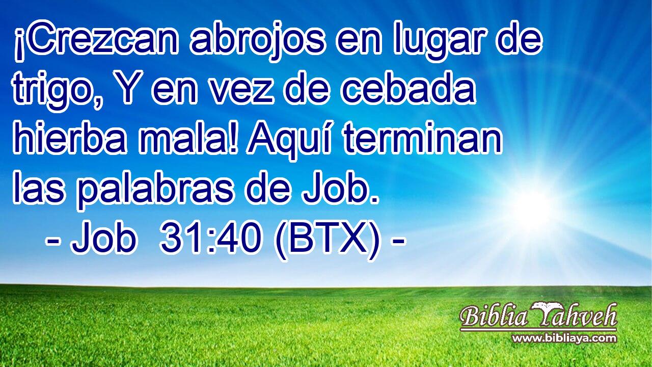 ¡Crezcan abrojos en lugar de trigo, Y en vez de cebada hierba mala! Aquí terminan las palabras de Job.