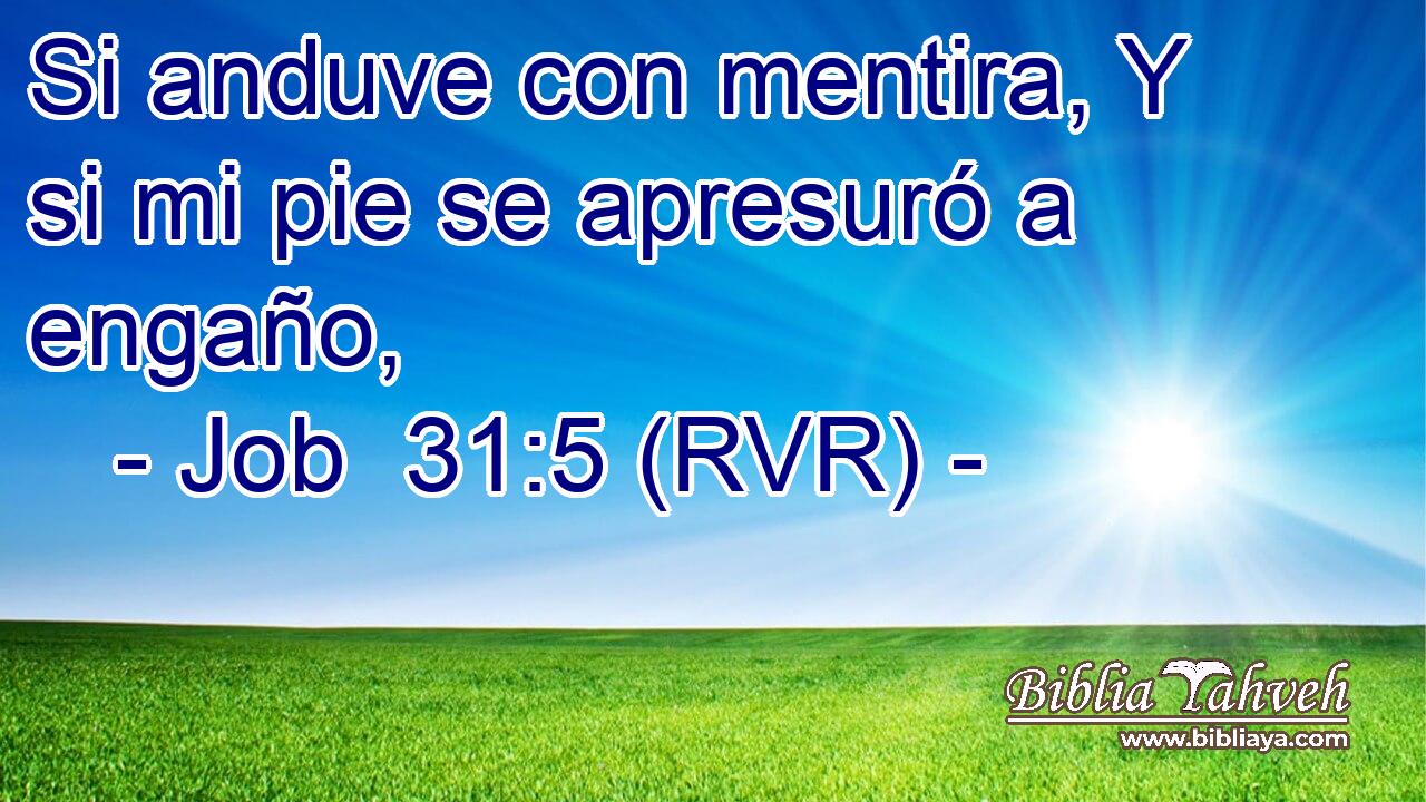 Si anduve con mentira, Y si mi pie se apresuró a engaño,