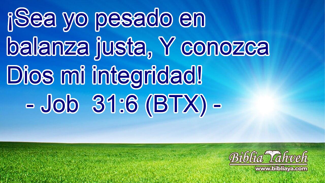 ¡Sea yo pesado en balanza justa, Y conozca Dios mi integridad!