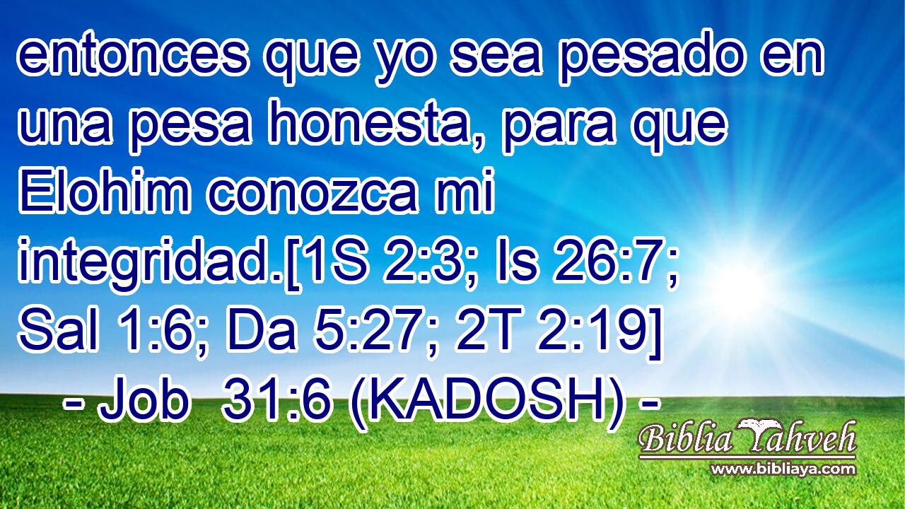  entonces que yo sea pesado en una pesa honesta, para que Elohim conozca mi integridad.[1S 2:3; Is 26:7; Sal 1:6; Da 5:27; 2T 2:19] 