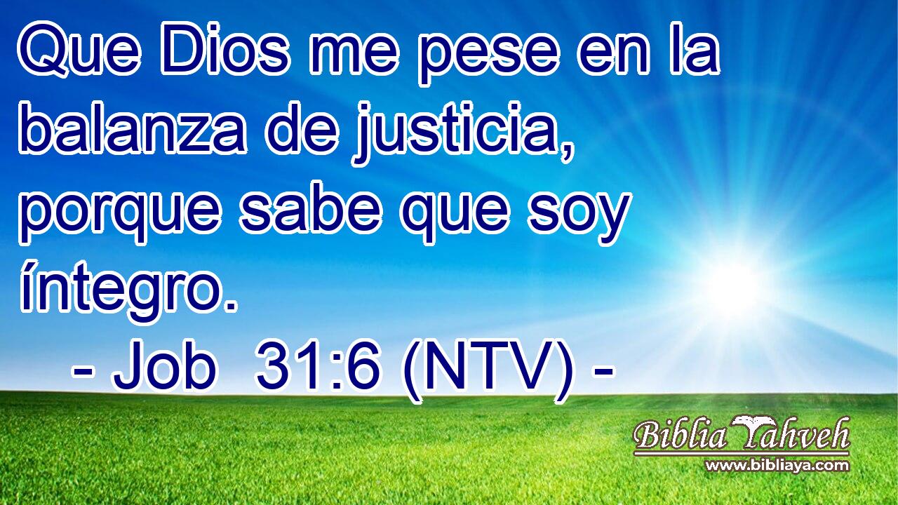 Que Dios me pese en la balanza de justicia, porque sabe que soy íntegro.