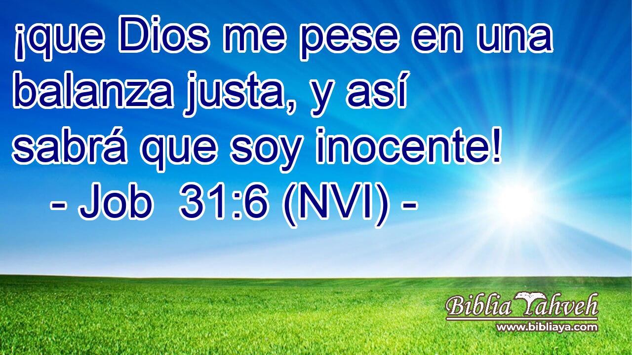  ¡que Dios me pese en una balanza justa, y así sabrá que soy inocente! 