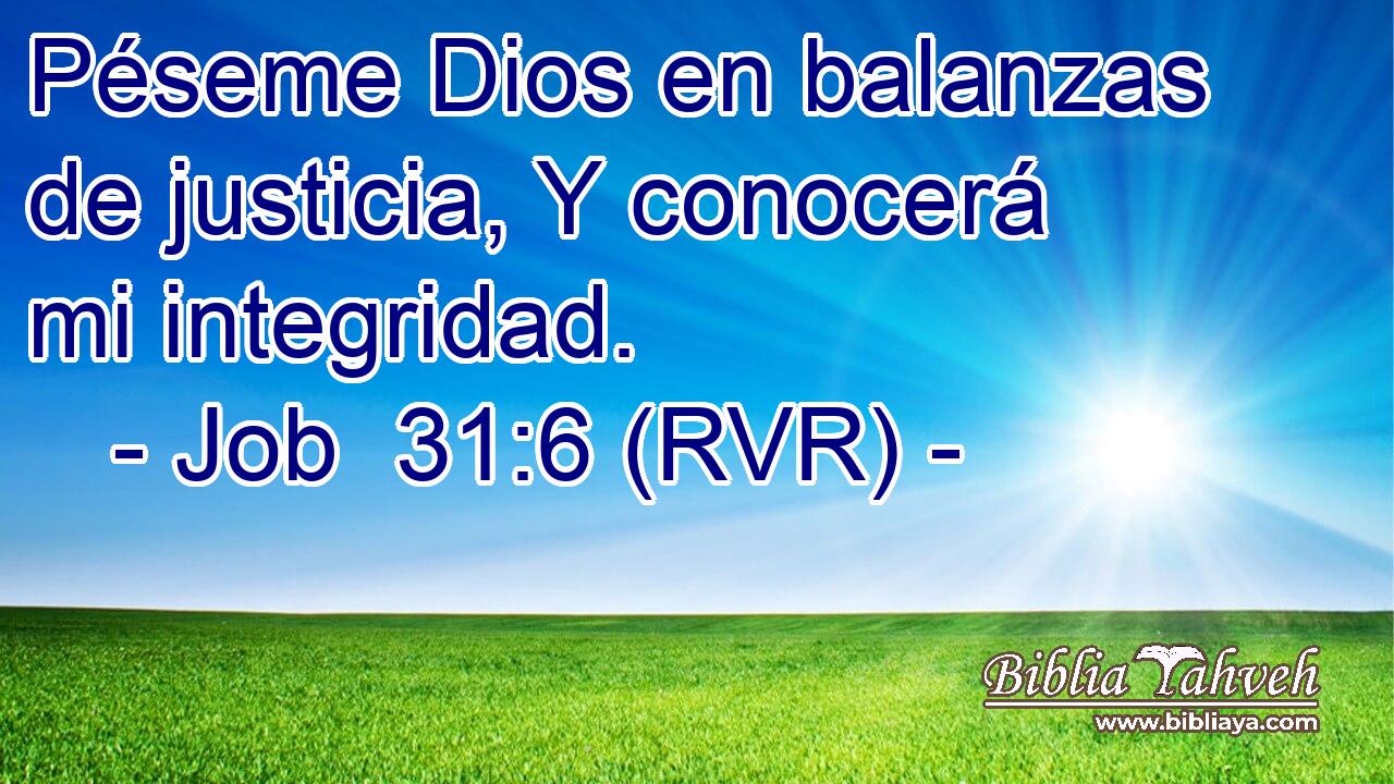 Péseme Dios en balanzas de justicia, Y conocerá mi integridad.