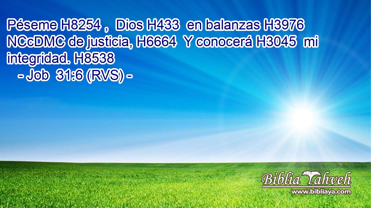 Péseme H8254 ,  Dios H433  en balanzas H3976 NCcDMC de justicia, H6664  Y conocerá H3045  mi integridad. H8538  