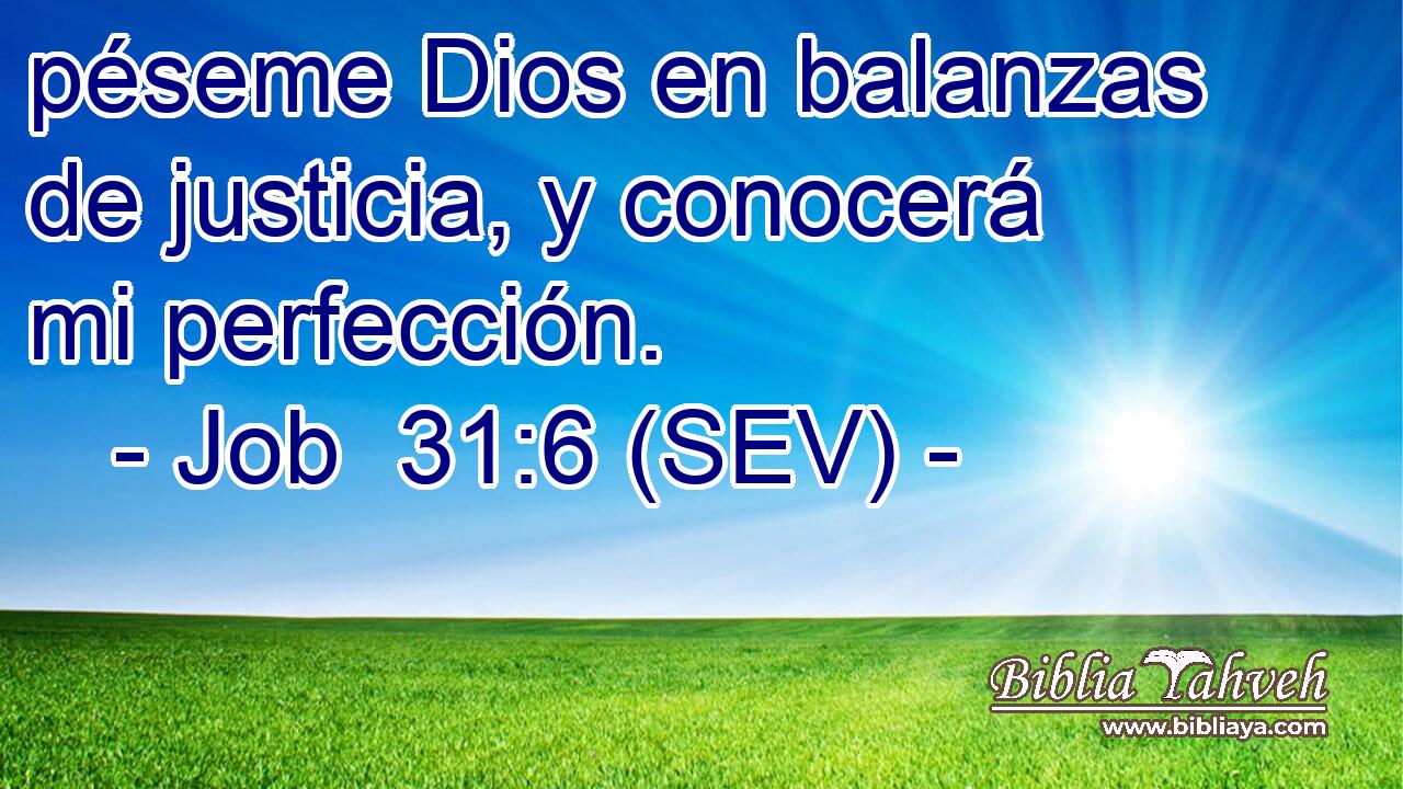 péseme Dios en balanzas de justicia, y conocerá mi perfección.