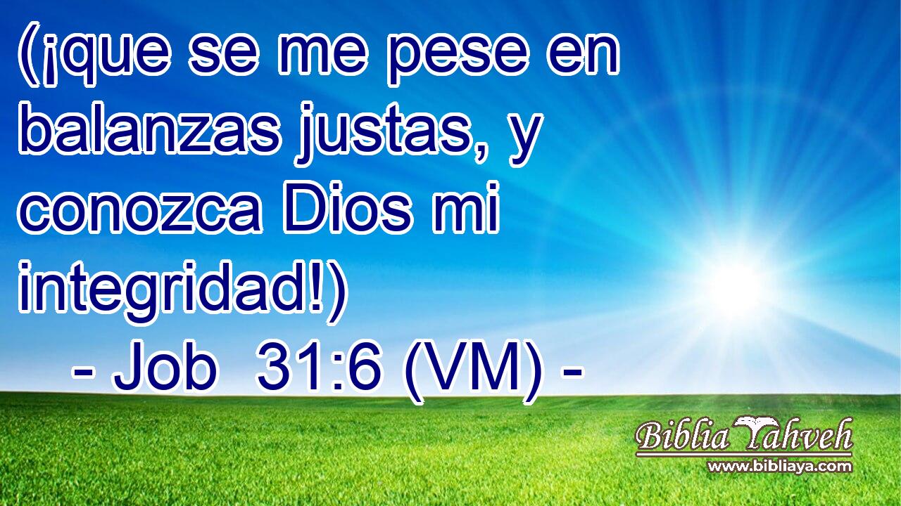  (¡que se me pese en balanzas justas, y conozca Dios mi integridad!) 