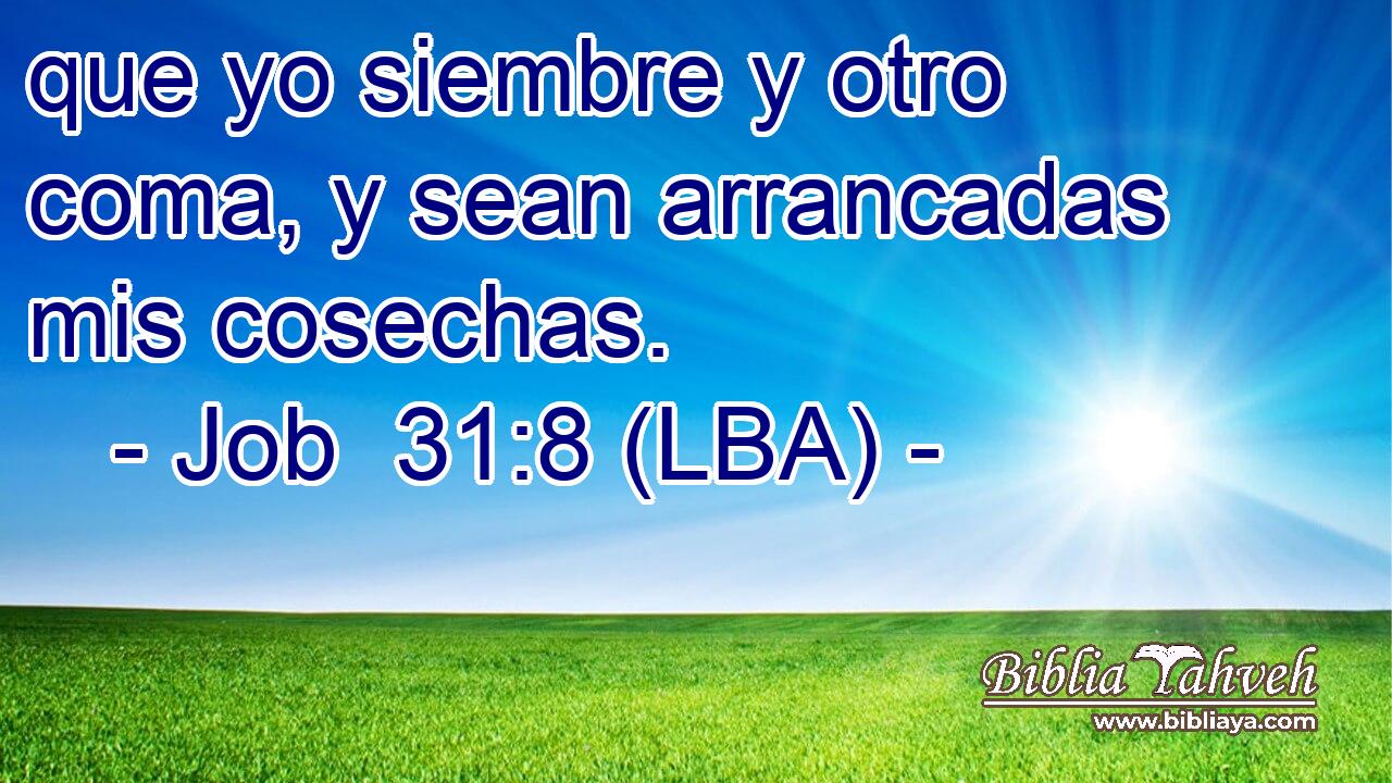 que yo siembre y otro coma, y sean arrancadas mis cosechas.
