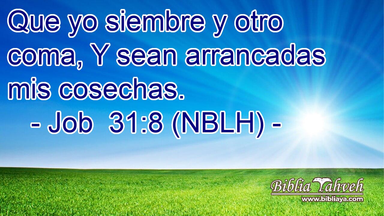  Que yo siembre y otro coma, Y sean arrancadas mis cosechas. 