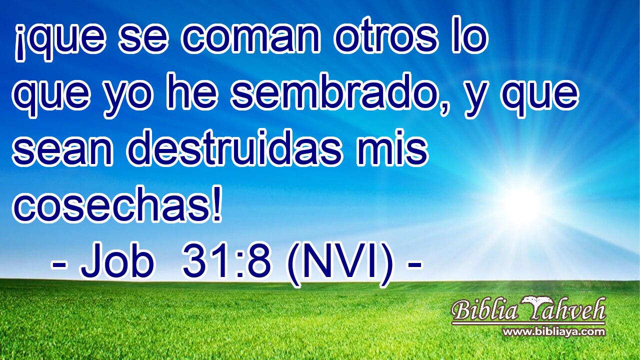  ¡que se coman otros lo que yo he sembrado, y que sean destruidas mis cosechas! 
