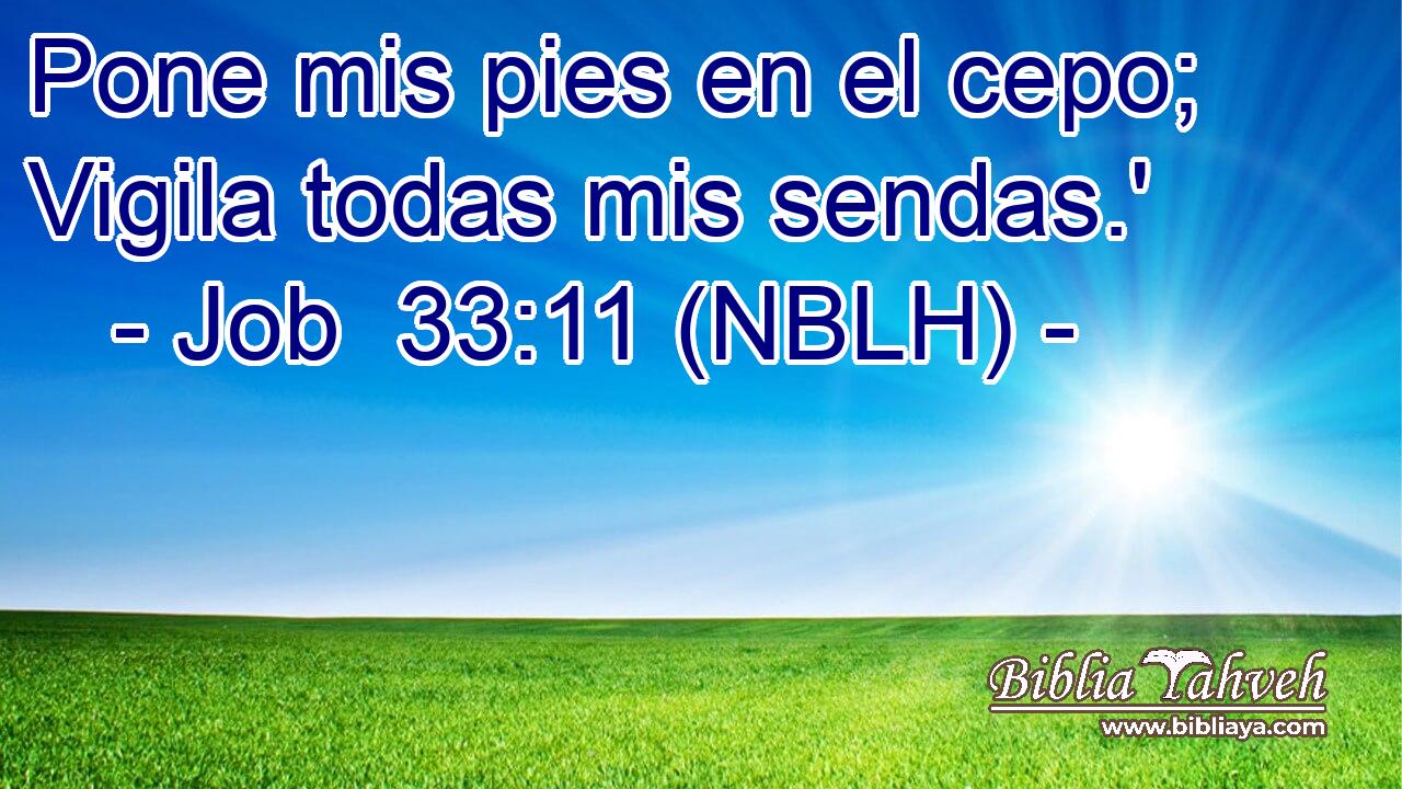  Pone mis pies en el cepo; Vigila todas mis sendas.' 