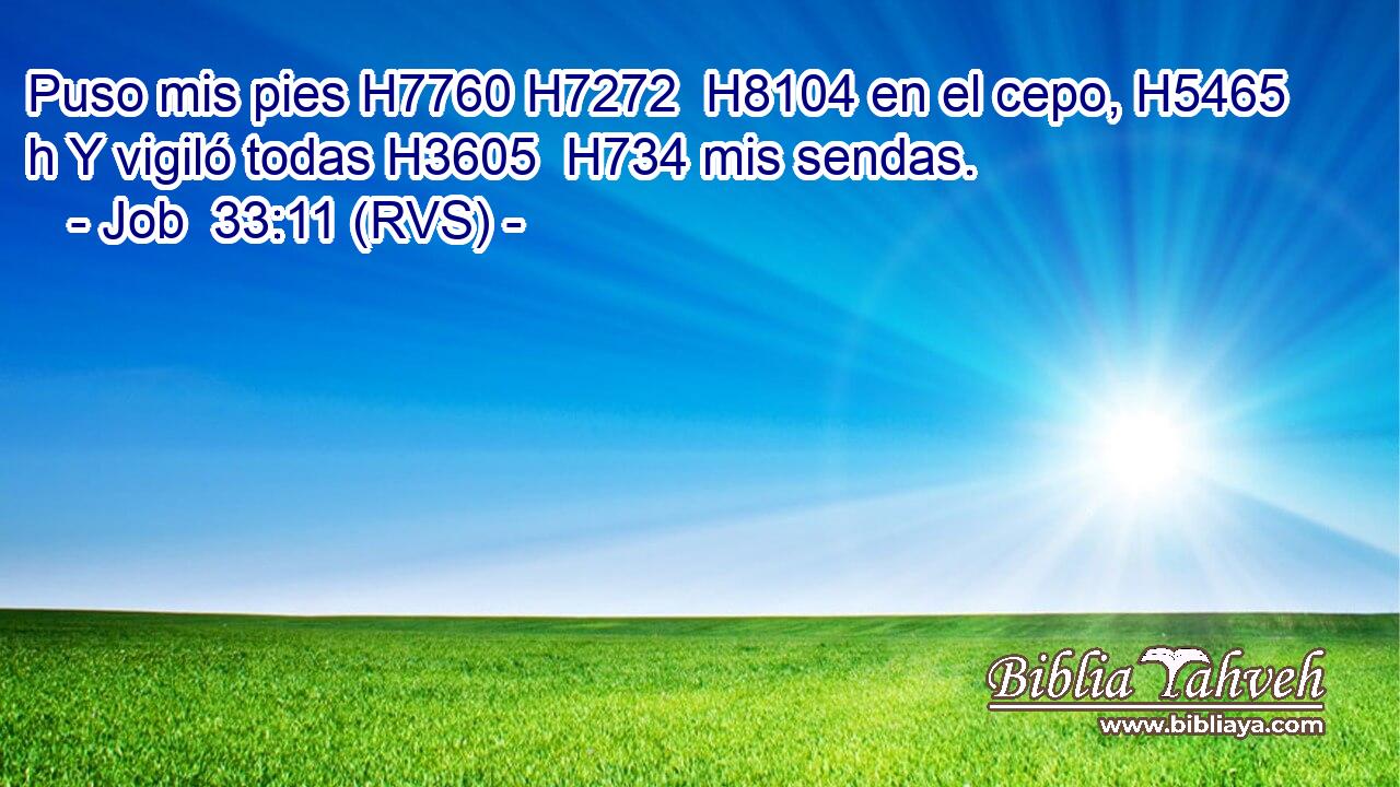 Puso mis pies H7760 H7272  H8104 en el cepo, H5465 h Y vigiló todas H3605  H734 mis sendas. 