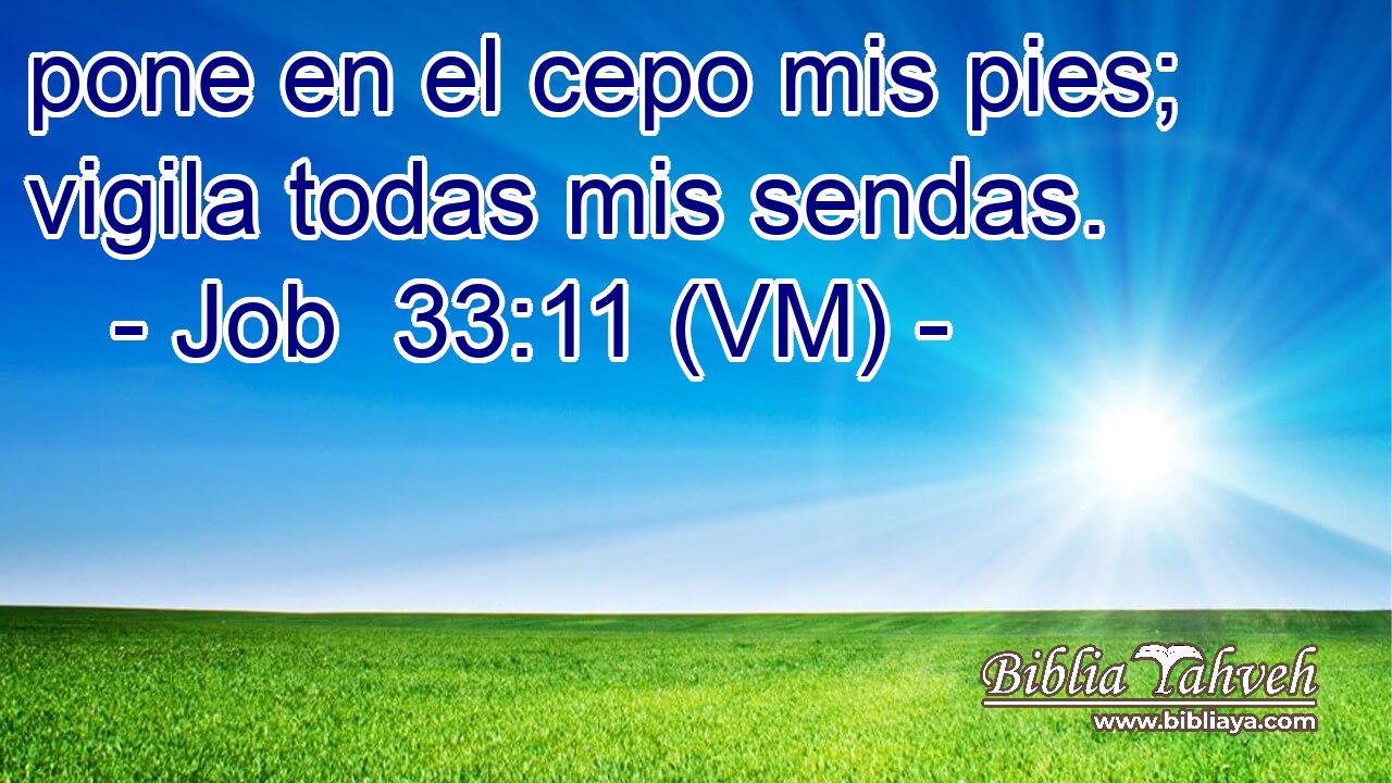  pone en el cepo mis pies; vigila todas mis sendas. 
