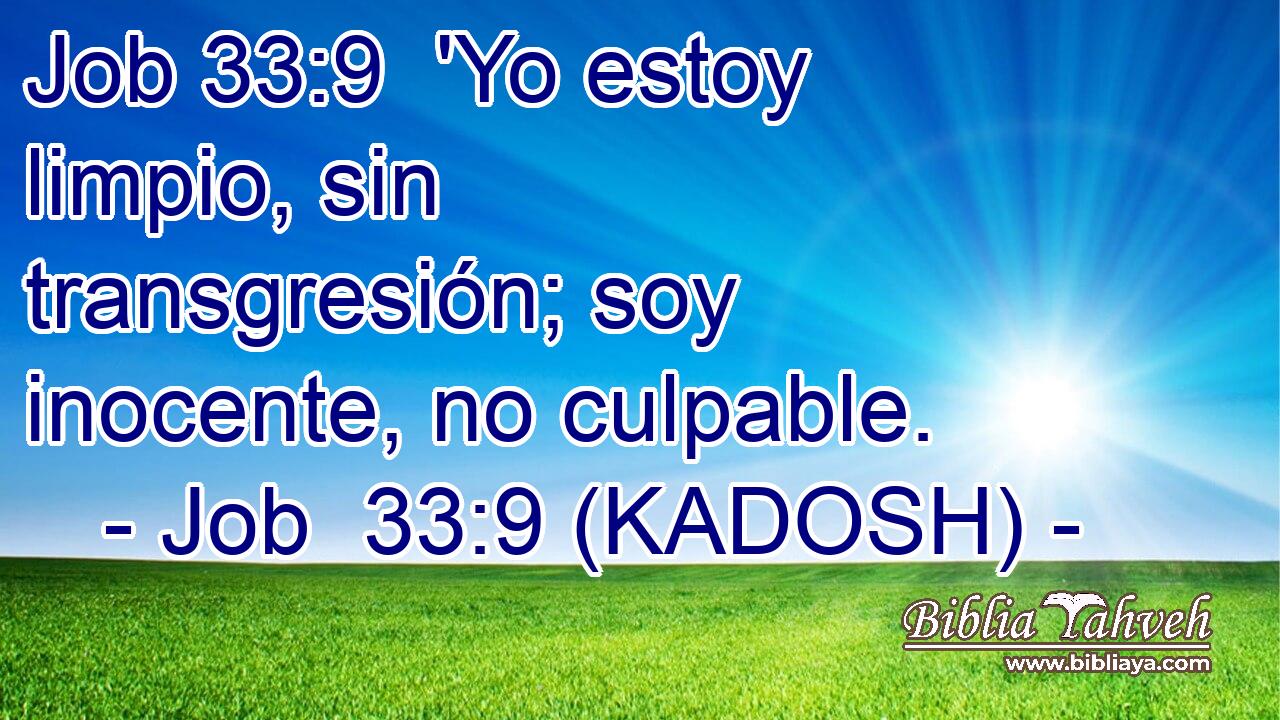  'Yo estoy limpio, sin transgresión; soy inocente, no culpable. 