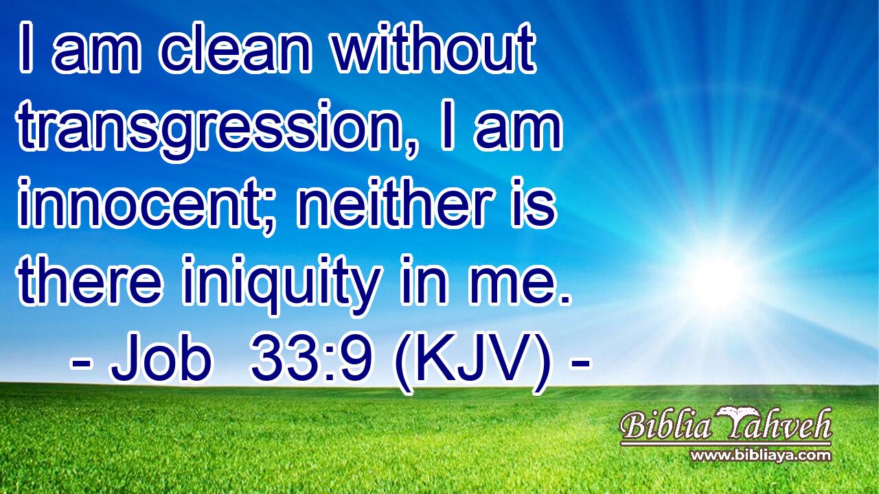 I am clean without transgression, I am innocent; neither is there iniquity in me.
