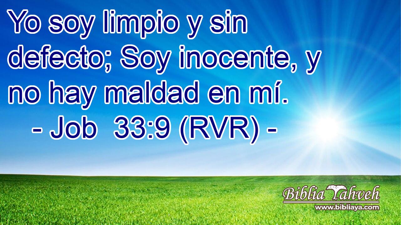 Yo soy limpio y sin defecto; Soy inocente, y no hay maldad en mí.