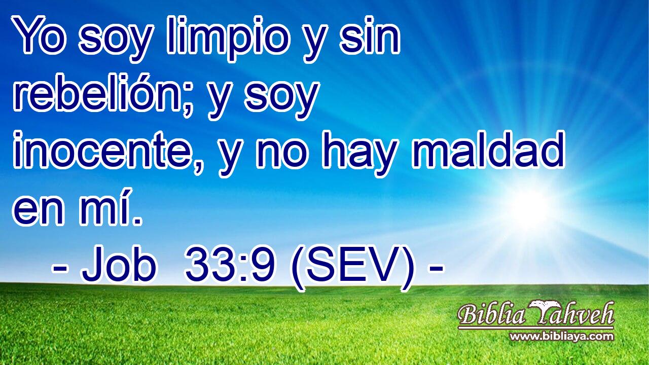 Yo soy limpio y sin rebelión; y soy inocente, y no hay maldad en mí.