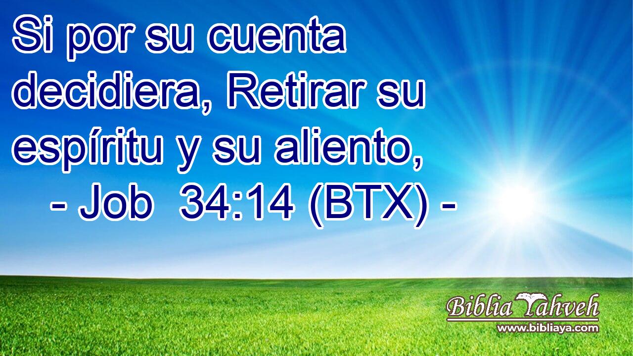 Si por su cuenta decidiera, Retirar su espíritu y su aliento,