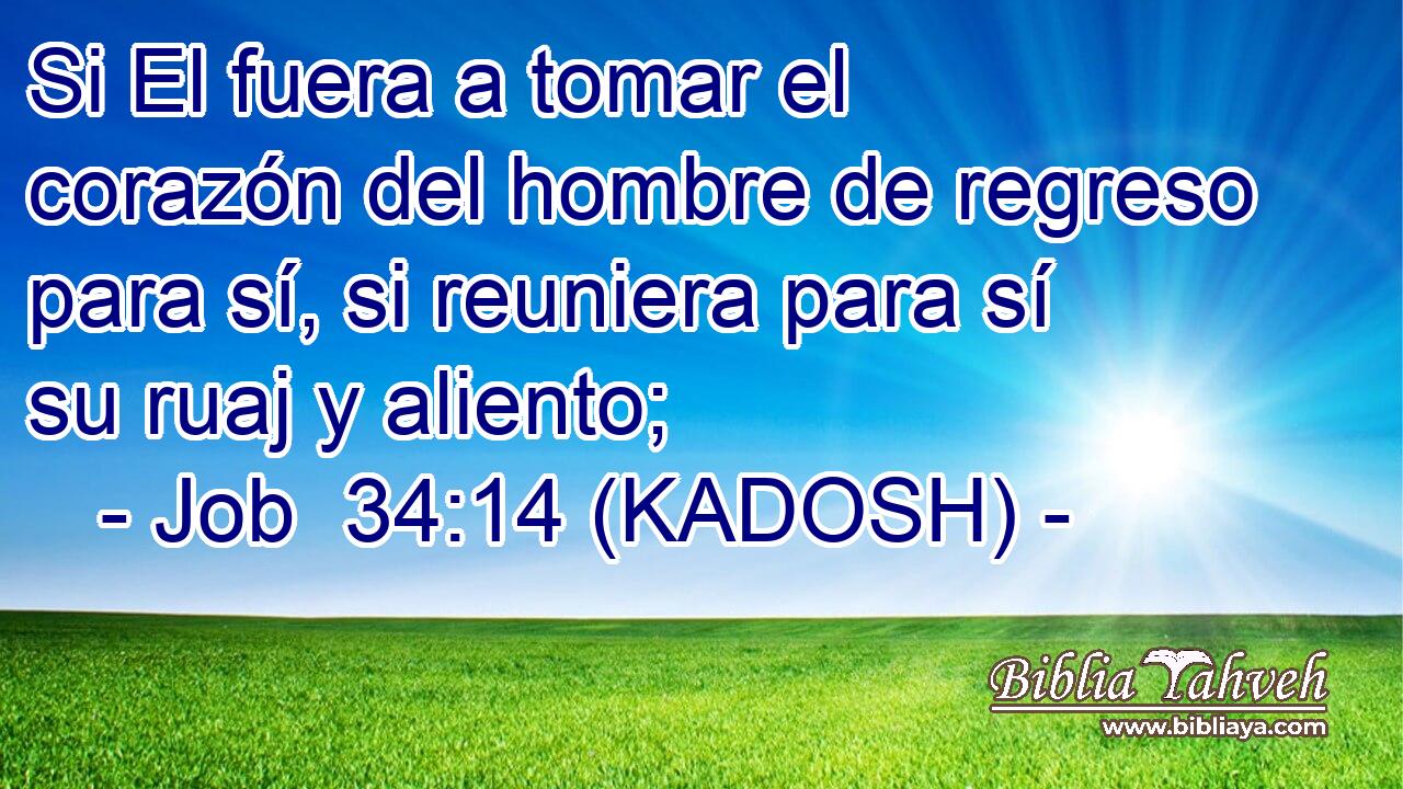 Si El fuera a tomar el corazón del hombre de regreso para sí, si reuniera para sí su ruaj y aliento; 
