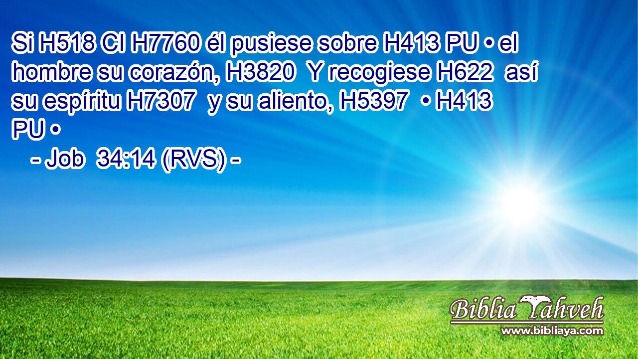Si H518 CI H7760 él pusiese sobre H413 PU • el hombre su corazón, H3820  Y recogiese H622  así su espíritu H7307  y su aliento, H5397  • H413 PU • 